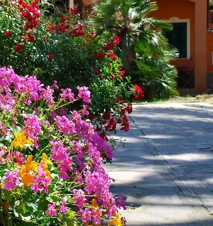 Dei Fiori Marina di Campo